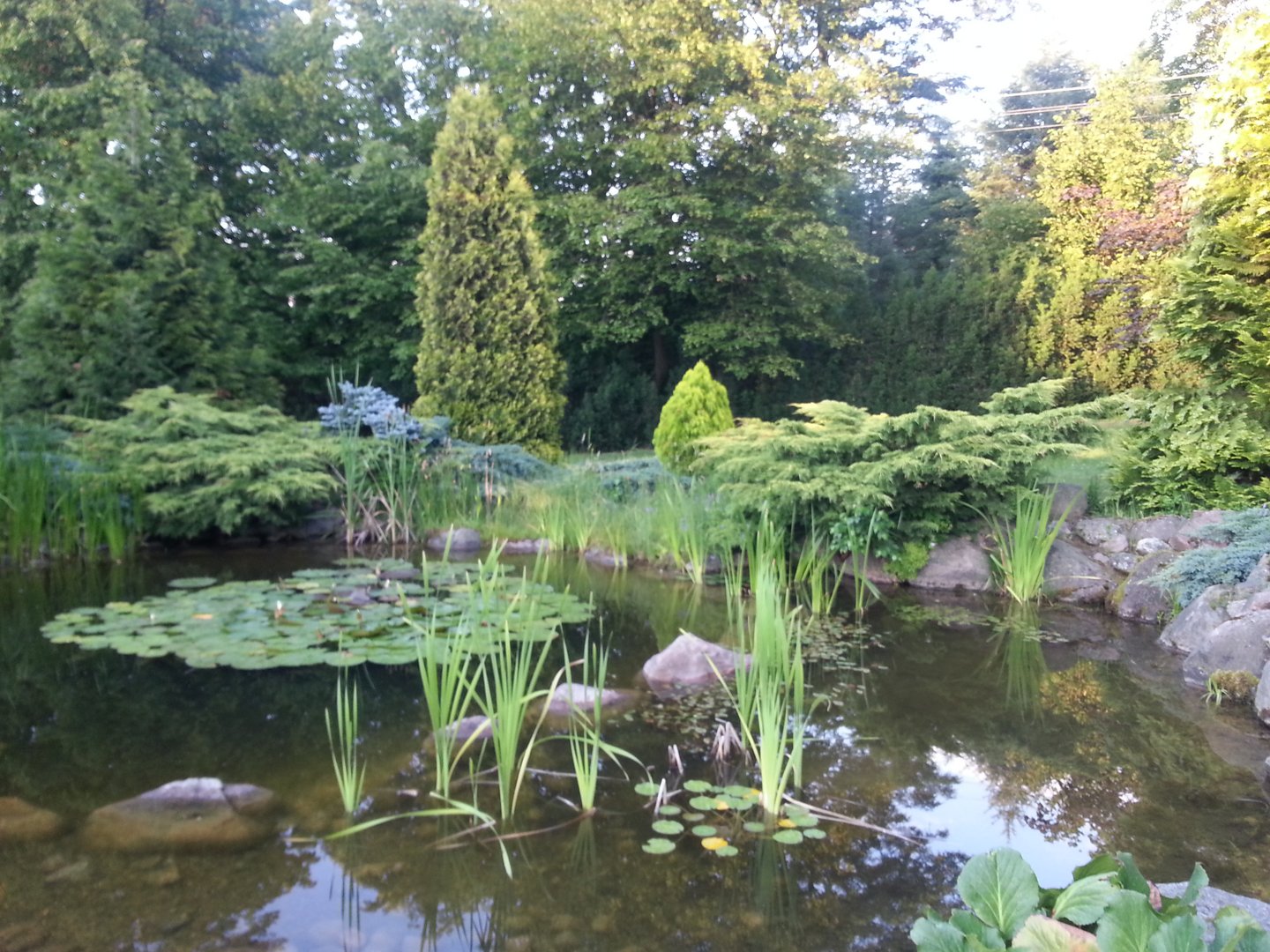 Teren - strefa zielona